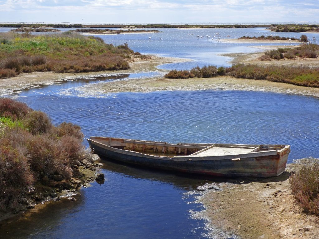 el norte de España