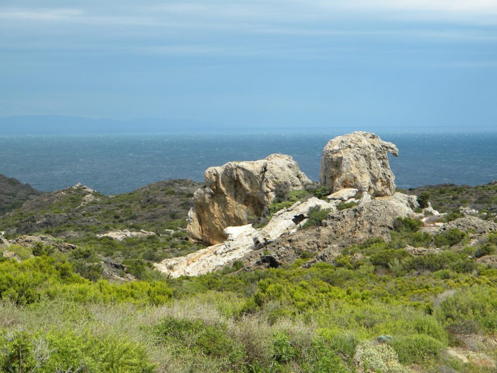 Reserva natural del Cap de Creus